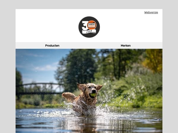 3 onmisbare technieken om beweging haarscherp vast te leggen