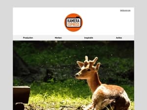 10 tips voor het fotograferen van jonge dieren