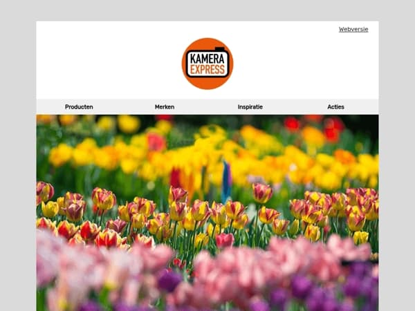 10 tips voor het fotograferen van tulpen