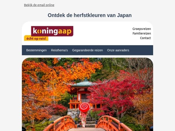 Ontdek Japan in de prachtige herfstkleuren!  🍁