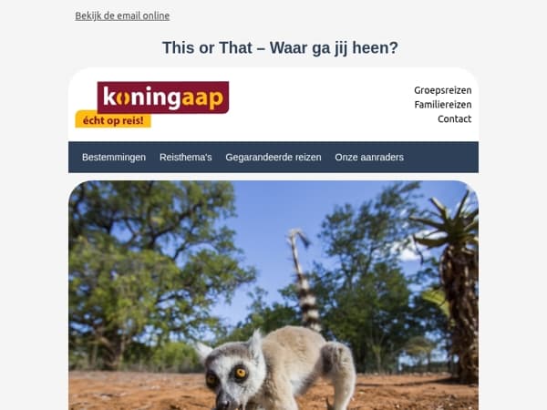 This or That – het ultieme reisduel!