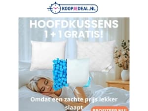 🔥 UITVERKOOP op Hoofdkussens