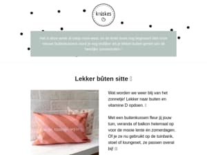 🌞 NIEUW: mooie Friese Buitenkussens!