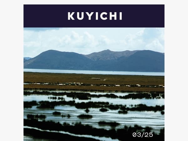 Dus we besloten het zelf te doen