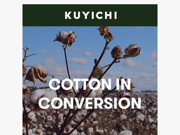 Waarom we boeren ondersteunen vóórdat katoen biologisch is.