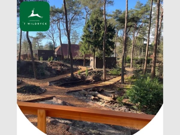 Nieuw: Tiny Houses midden in het bos 🌳