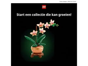Pluk je eerste forever bloemen met nieuwe sets