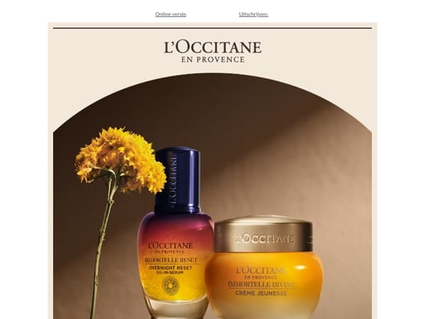 Ontdek Immortelle, stap voor stap