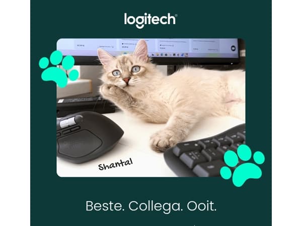 Ontmoet onze beste collega's 🐾