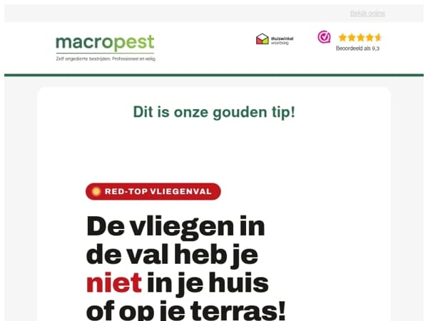 Zo zorgen wij ervoor dat we drastisch minder last hebben van vervelende vliegen in huis