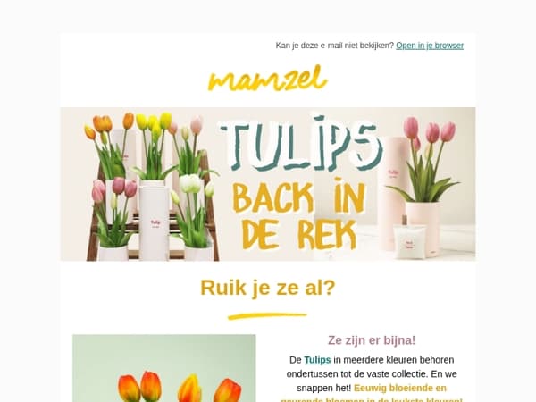 Eindelijk! Tulips bijna weer op voorraad 🌸🌹🌷kies je kleurtje al maar uit en ze komen jouw kant uit.