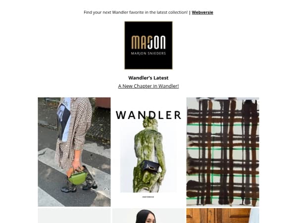 The new Wandler bags are calling your name!