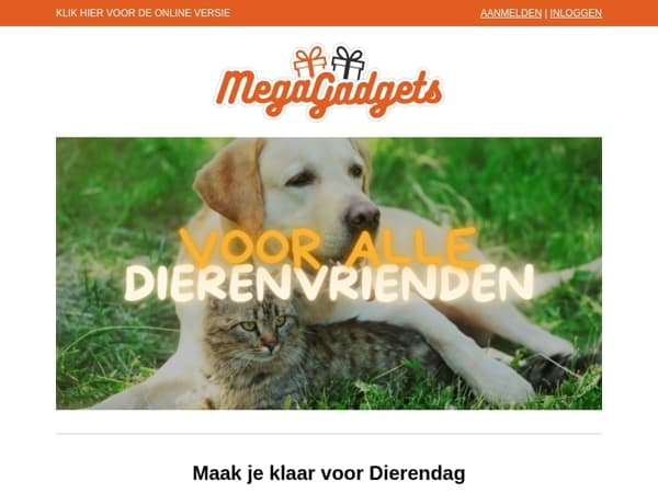 🌞 Dierendag vol gezelligheid 🐾