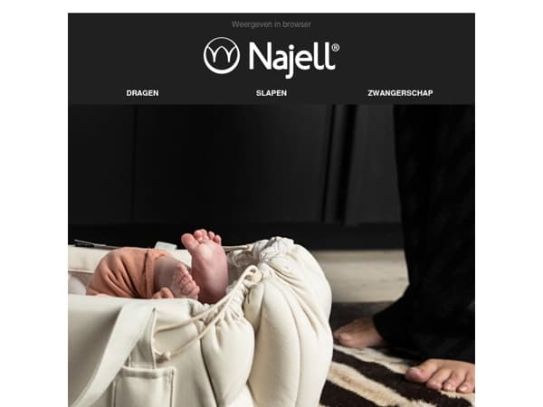 Scandinavian Affordable Premium