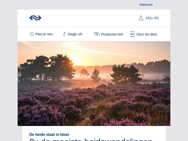 De heide staat in bloei 🪻