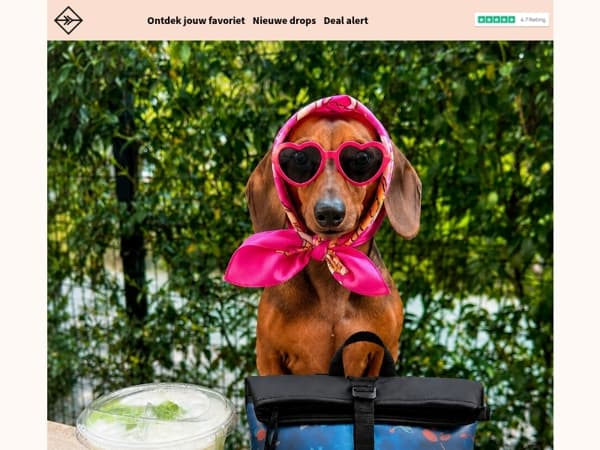 Hot Dog Summer is officially here! 🐶☀️
