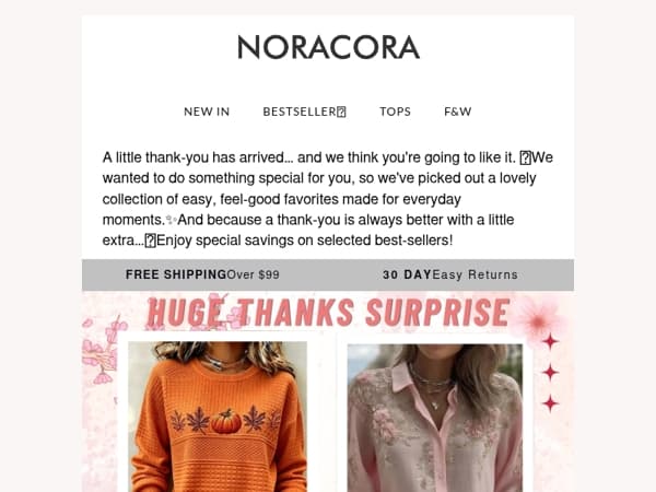 🎉As a Thank You — A Lovely Surprise Just for You✨