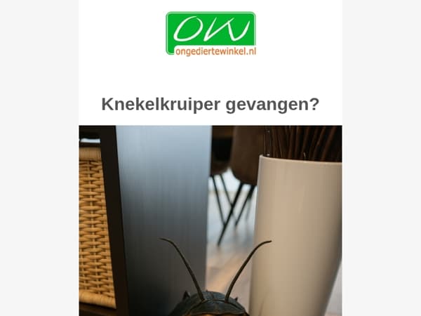 Knekelkruiper gevangen?