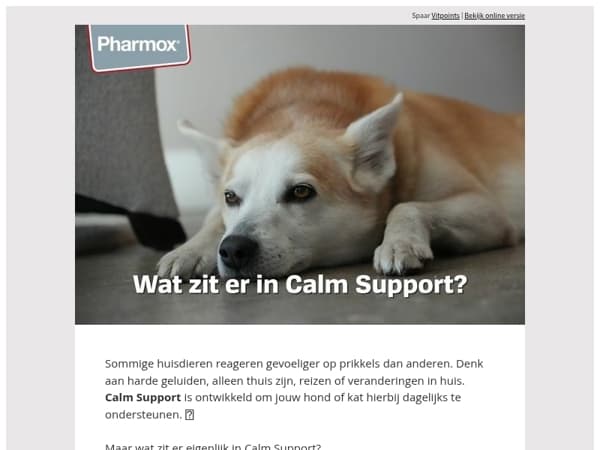 Wat zit er in Calm Support? 💛