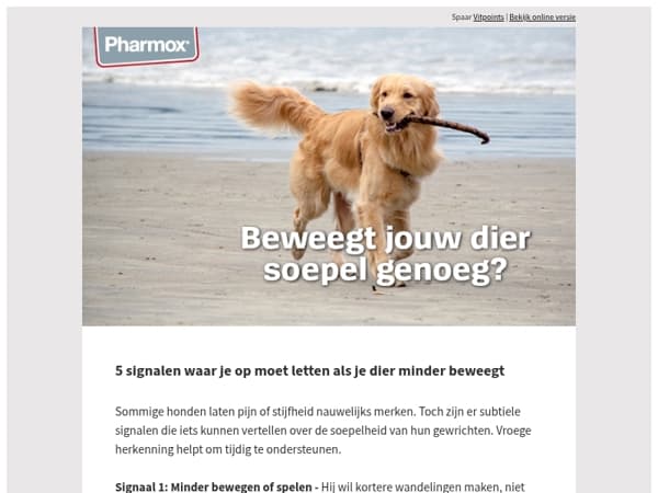 Heeft jouw dier last van stijve gewrichten?