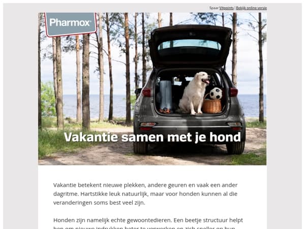 Waarom structuur óók op vakantie belangrijk blijft 🐾