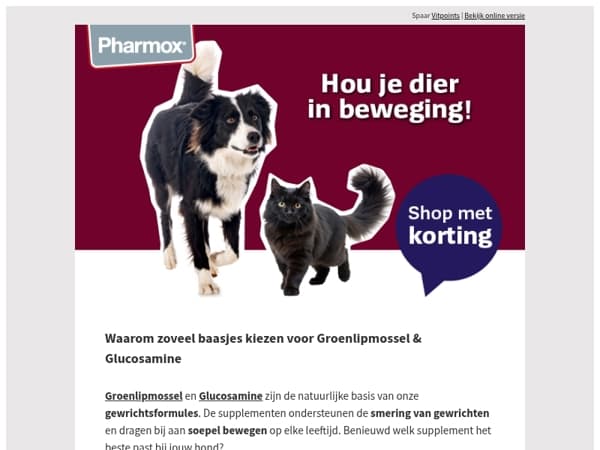 Waarom zoveel baasjes kiezen voor Groenlipmossel & Glucosamine