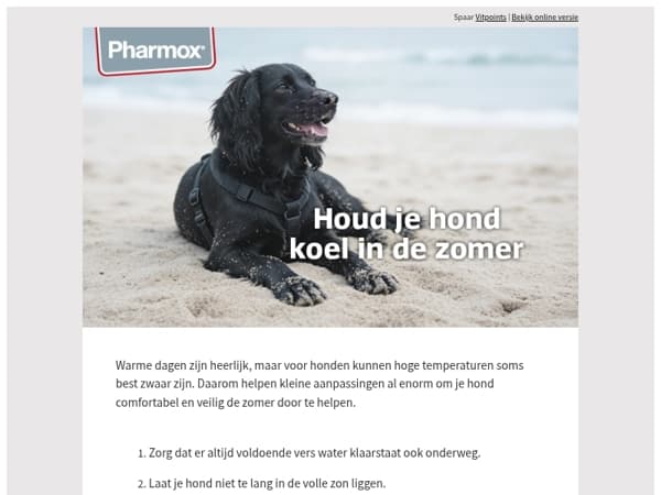 Zomer tips om je hond koel te houden