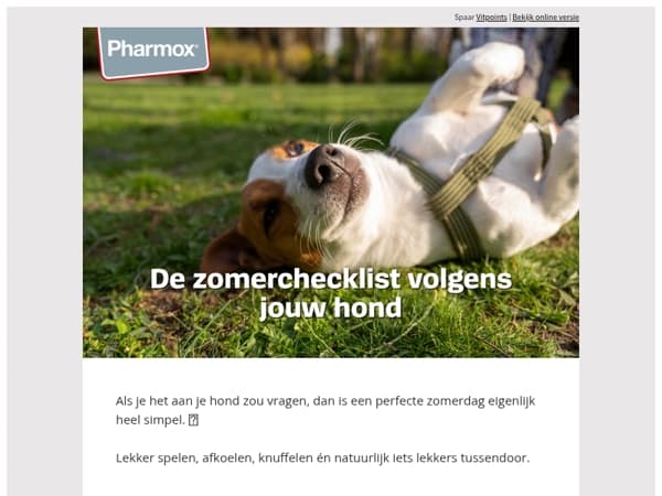 Heb jij alles afgevinkt voor een geslaagde zomerdag?