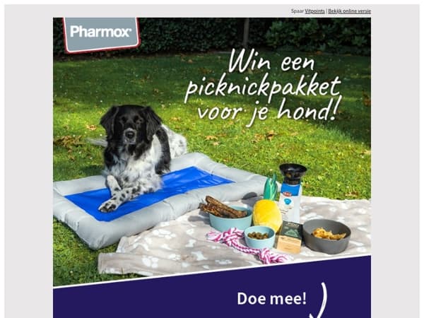 Doe mee! Winactie voor je hond