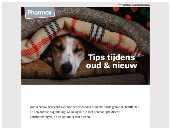 Bereid je dier voor op Oud & Nieuw