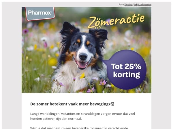 Waarom magnesium niet mag ontbreken deze zomer🐶