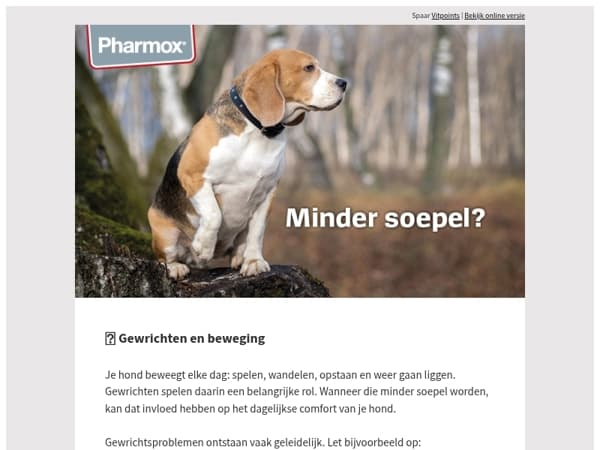 Gewrichtsproblemen bij je hond: waar let je op? 🐾