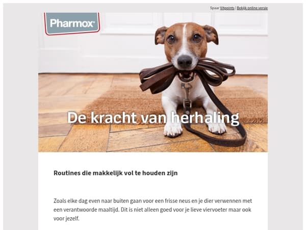 Elke dag goed bezig, ga zo door!