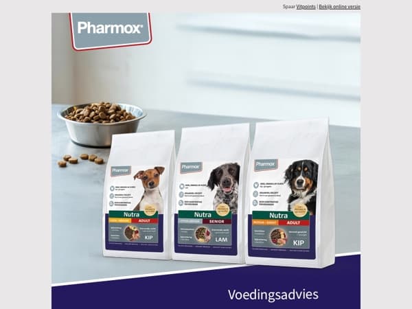 🐶 Welke voeding past het beste bij jouw hond?