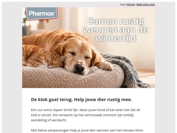 Wintertijd: een uurtje verschil, een vertrouwd ritme