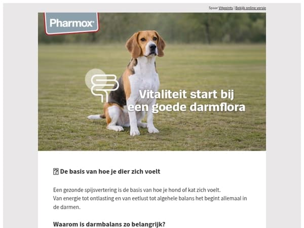 Dag van de Gezonde Spijsvertering 🐾