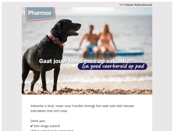 Gaat jouw hond mee op vakantie?