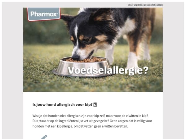 Help, mijn hond is allergisch voor kip! 🐶