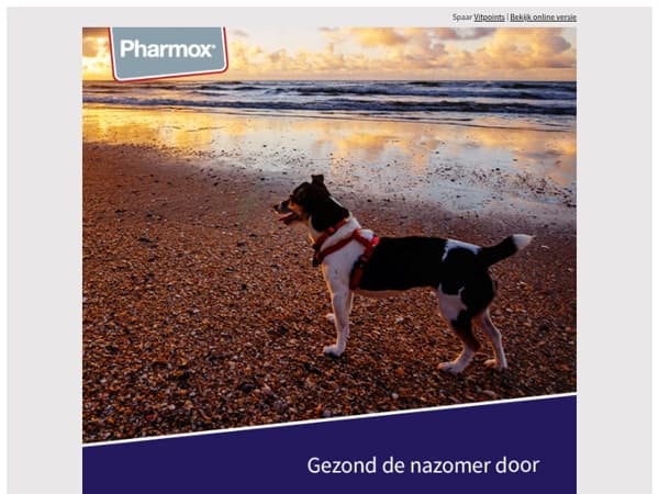 ☀️ Gezond de nazomer door: 3 simpele tips voor je dier