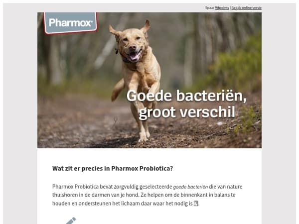 🧬 What’s in it? Ontdek Pharmox Probiotica