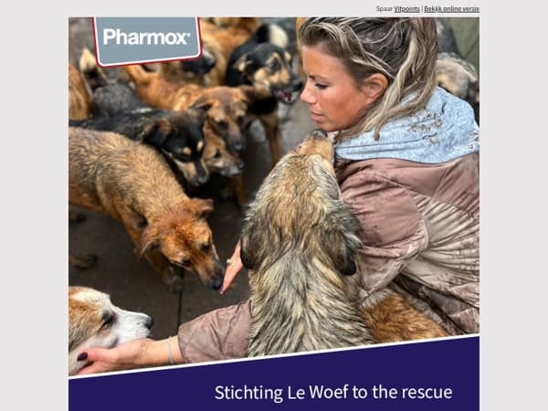 📢 Weekendactie: 10% korting voor jou, 15% donatie voor straathondjes in Roemenië