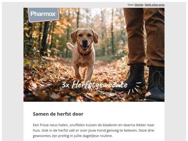 3 kleine gewoontes in de herfstroutine van je hond