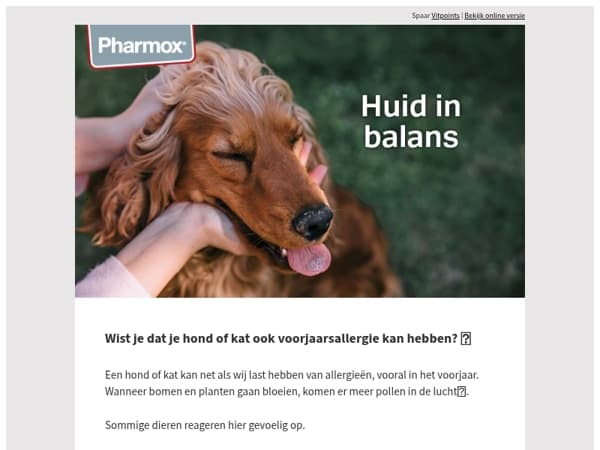 Wist je dat je hond of kat ook voorjaarsallergie kan hebben? 🐱