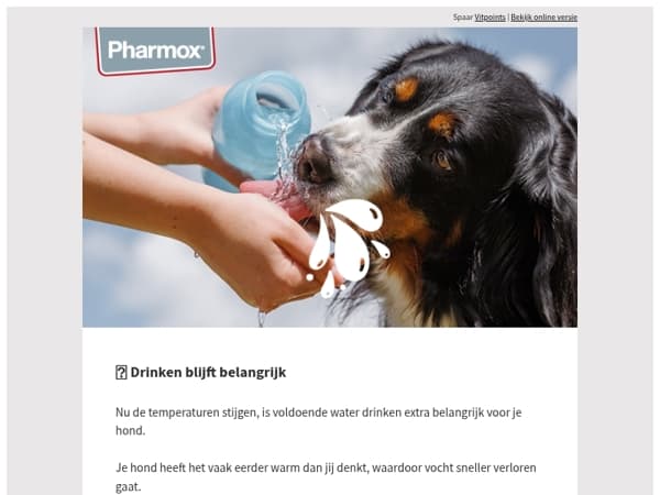 Voldoende drinken bij warm weer 🐾