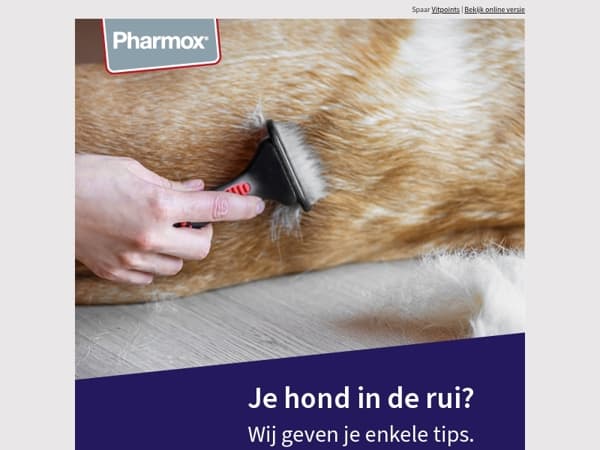 Hond in de rui? Tips over vachtverzorging