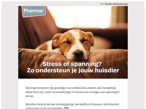 Meer rust voor jouw hond of kat met Calm Support