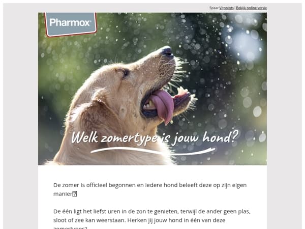 Welk zomertype is jouw hond?☀️