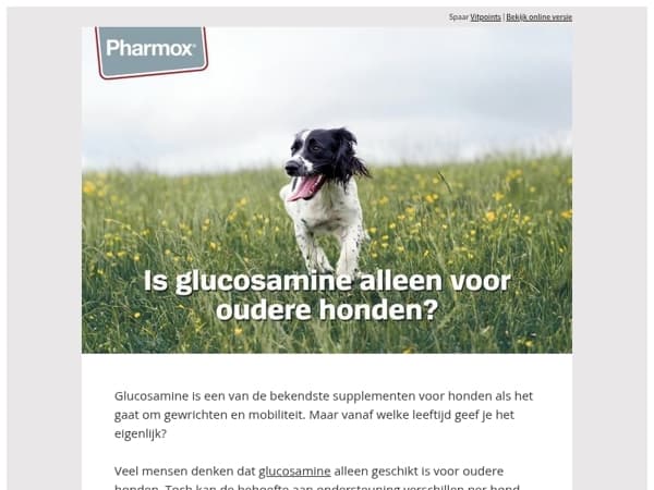Is glucosamine alleen voor oudere honden? 🐶