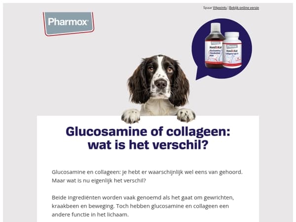 Glucosamine of collageen: wat is het verschil?
