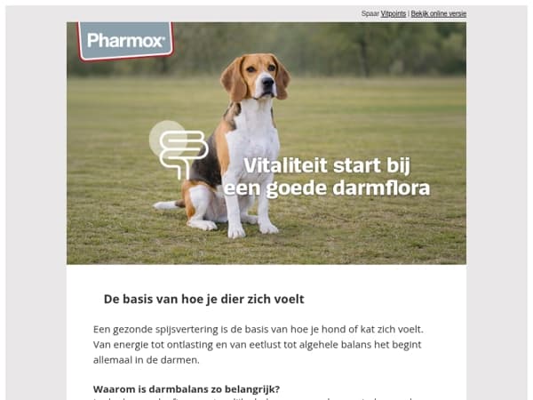 💩 Gezonde basis van binnenuit
